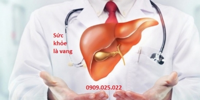 Tìm hiểu về Xét nghiệm chức năng gan