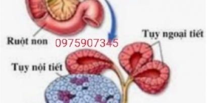 Khám sức khỏe định kỳ